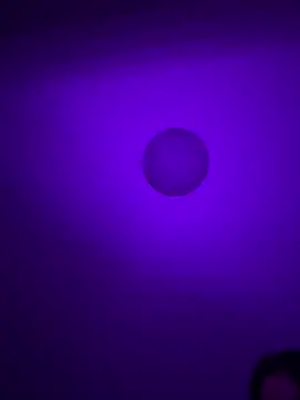 Leasophie online show from March 17, 2025, 10:29 pm