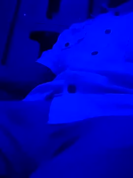 montereal1212 online show from December 2, 2024, 2:59 am