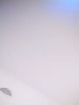 Donostipa online show from October 26, 2025, 12:05 pm