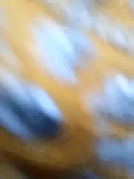 Snapshot of Priya_Bong chatting on May 29, 2026, 1:33 am Priya Bong online show from May 29, 2026, 1:33 am