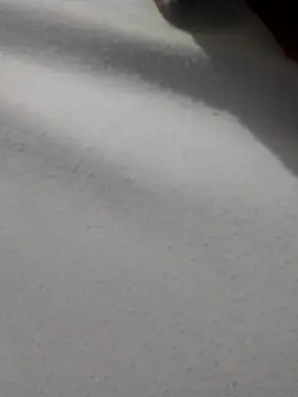 Snapshot of _Miaaleon chatting on November 16, 2025, 10:42 am Miaaleon online show from November 16, 2025, 10:42 am