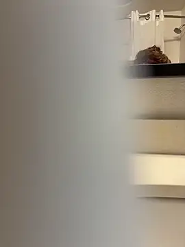 JoWheelsss online show from March 5, 2026, 11:43 pm