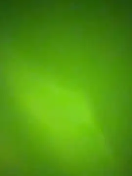 nene fun online show from January 31, 2026, 10:08 pm