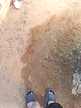 DickMasterfindom online show from December 21, 2025, 12:29 pm