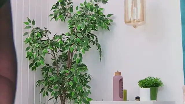 EmilyColle  online show from March 3, 2026, 7:54 pm