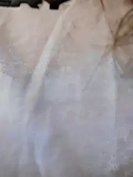 Dani javi online show from April 10, 2026, 7:43 pm