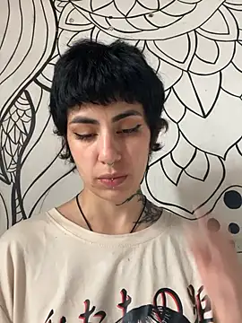  Artemisa X online show from April 17, 2026, 4:21 pm