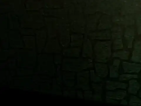 Lilyevansx online show from October 12, 2025, 4:08 pm