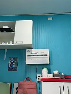 Snapshot of Reinacatchile chatting on February 3, 2026, 7:52 pm Reinacatchile online show from February 3, 2026, 7:52 pm