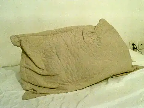 pollarikaaa online show from November 6, 2025, 10:58 pm