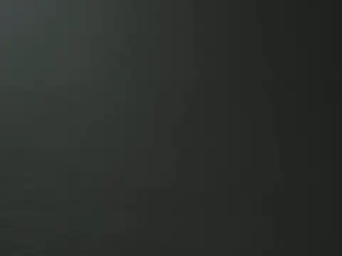 hideonbush051 online show from December 22, 2025, 3:01 pm