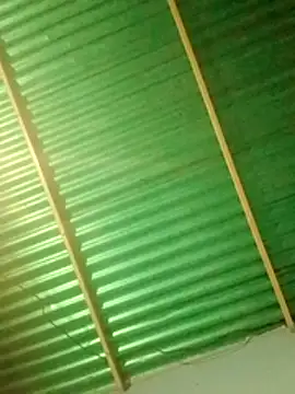 Denilgarri online show from October 26, 2025, 4:24 am