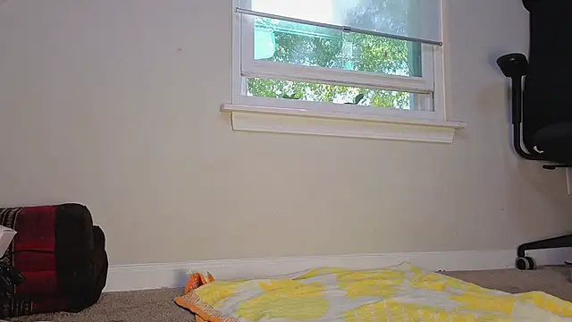 Theonlydreamybull online show from November 12, 2025, 6:01 pm