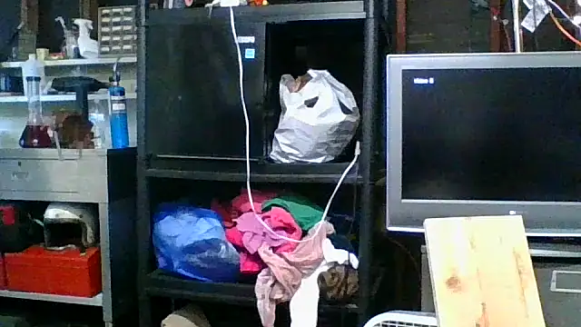 allissonw13 online show from November 5, 2025, 11:19 pm