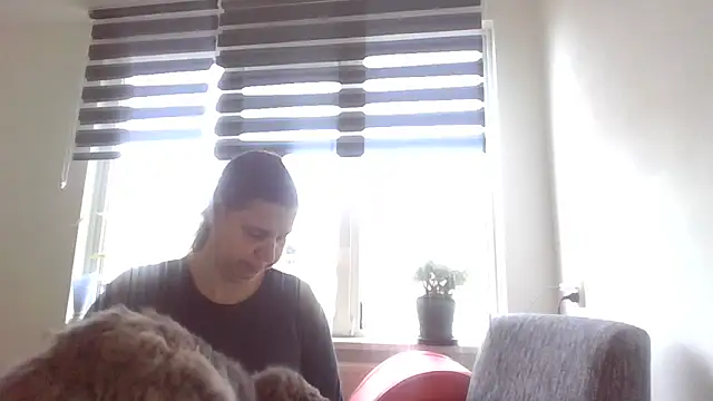 Snapshot of Mir_boobs_ chatting on November 3, 2025, 11:14 am Mir boobs  online show from November 3, 2025, 11:14 am