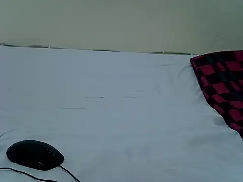 pointy bloom online show from November 14, 2025, 4:32 pm