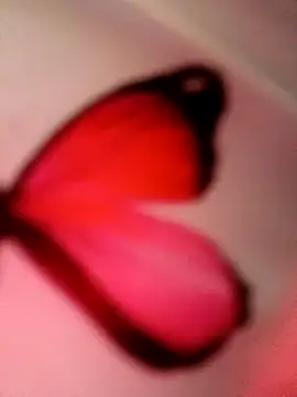  andrea30 online show from February 27, 2025, 3:37 pm