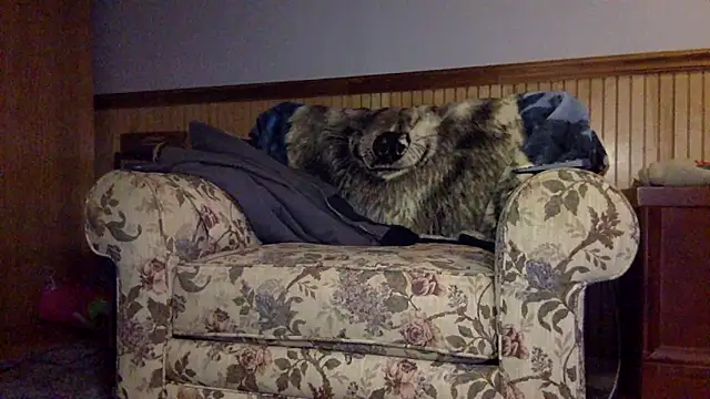 tongueispowerr6d9 online show from March 3, 2026, 2:18 am