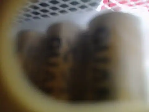 Lovensetest online show from December 17, 2025, 1:21 am