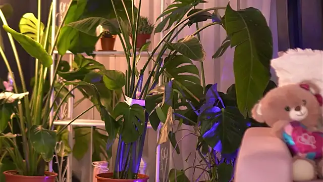 EmilyRaymont online show from December 3, 2025, 4:13 am