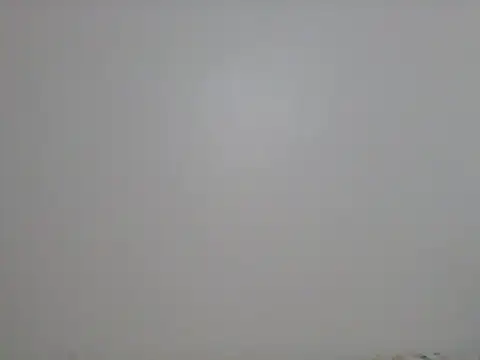 DADDYS shuga online show from October 9, 2025, 3:51 am