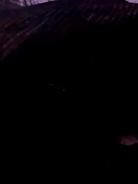 TonyLungas online show from September 26, 2025, 3:19 pm