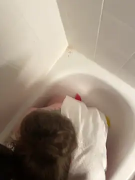 Snapshot of Lord-Sloppy chatting on March 16, 2025, 10:00 am Lord-Sloppy online show from March 16, 2025, 10:00 am