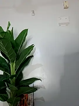 Snapshot of korah01 chatting on November 14, 2025, 2:59 am korah01 online show from November 14, 2025, 2:59 am