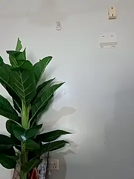 Snapshot of korah01 chatting on November 19, 2025, 8:03 am korah01 online show from November 19, 2025, 8:03 am