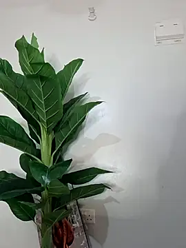 Snapshot of korah01 chatting on November 17, 2025, 7:45 am korah01 online show from November 17, 2025, 7:45 am