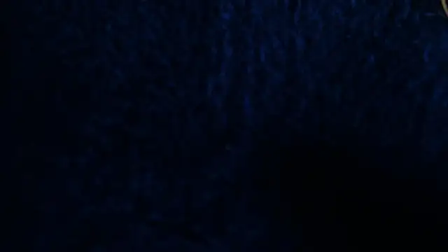 Snapshot of LilithSmith_ chatting on February 2, 2026, 11:42 am LilithSmith online show from February 2, 2026, 11:42 am