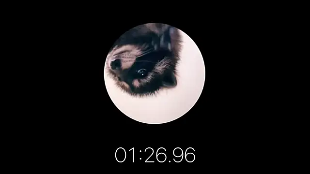 Snapshot of les_mod_sc2 chatting on February 12, 2025, 1:59 pm les mod sc2 online show from February 12, 2025, 1:59 pm