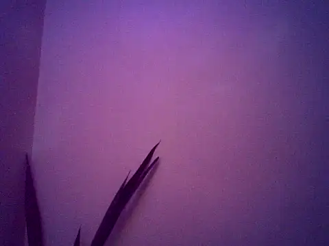 Malandralle online show from November 25, 2025, 5:30 am