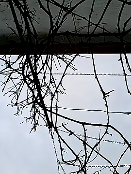 SexyNicool35 online show from April 9, 2026, 5:42 am