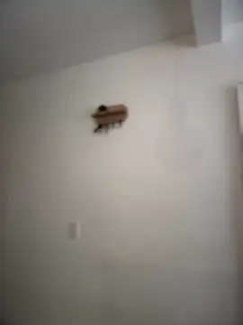 Snapshot of KatteWise chatting on June 25, 2026, 4:23 pm KatteWise online show from June 25, 2026, 4:23 pm