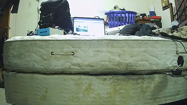 pipeload1275 online show from November 30, 2025, 5:30 am