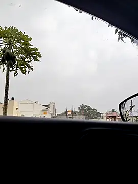 KingCobraClassy online show from January 6, 2026, 10:08 am