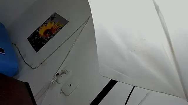 Ladysexy hot19 online show from November 3, 2025, 3:12 am