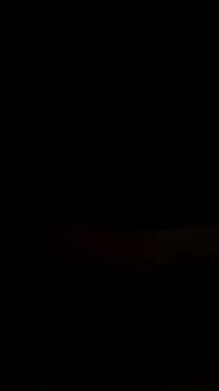 mendelicius online show from February 14, 2026, 10:37 am