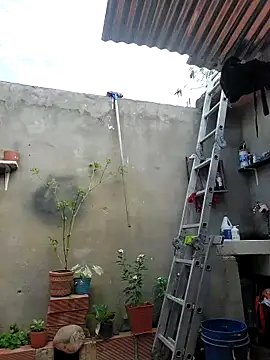 room 24funn online show from October 19, 2025, 2:31 pm