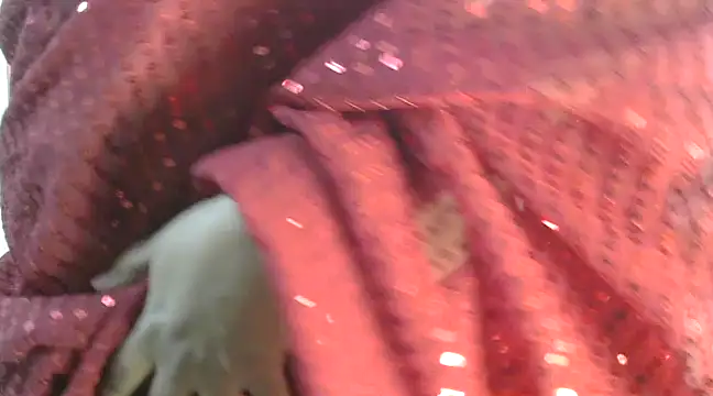 Snapshot of rehana88 chatting on March 17, 2025, 1:14 am rehana88 online show from March 17, 2025, 1:14 am