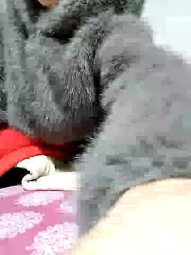 tara 0000 online show from February 19, 2025, 4:44 am