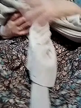  BaHaR  online show from October 23, 2025, 10:25 am