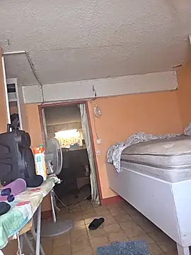 Snapshot of Papii97150 chatting on February 23, 2026, 8:09 pm Papii97150 online show from February 23, 2026, 8:09 pm