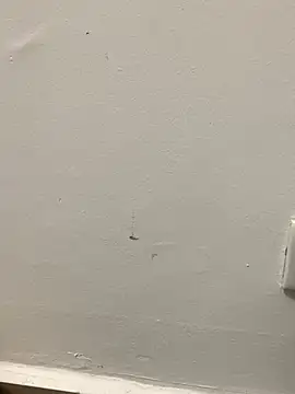 Snapshot of zeck80 chatting on December 19, 2025, 12:03 am zeck80 online show from December 19, 2025, 12:03 am