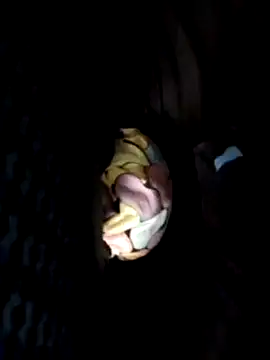 Policeman20742 online show from February 25, 2025, 6:12 pm