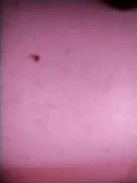 bisexualboy05 online show from September 20, 2025, 7:46 am