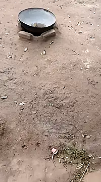 hairipussy2 online show from February 20, 2025, 10:59 am