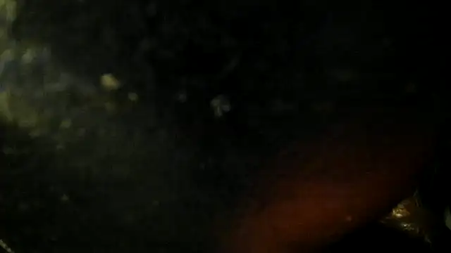 leatherz69 online show from May 22, 2026, 2:42 am