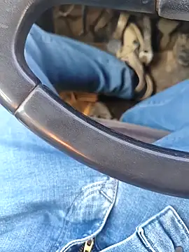 Snapshot of murokkk31 chatting on January 8, 2026, 8:31 am murokkk31 online show from January 8, 2026, 8:31 am